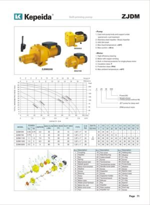 Pompe pentru alimentare si presurizare Kepeida · ZJDM